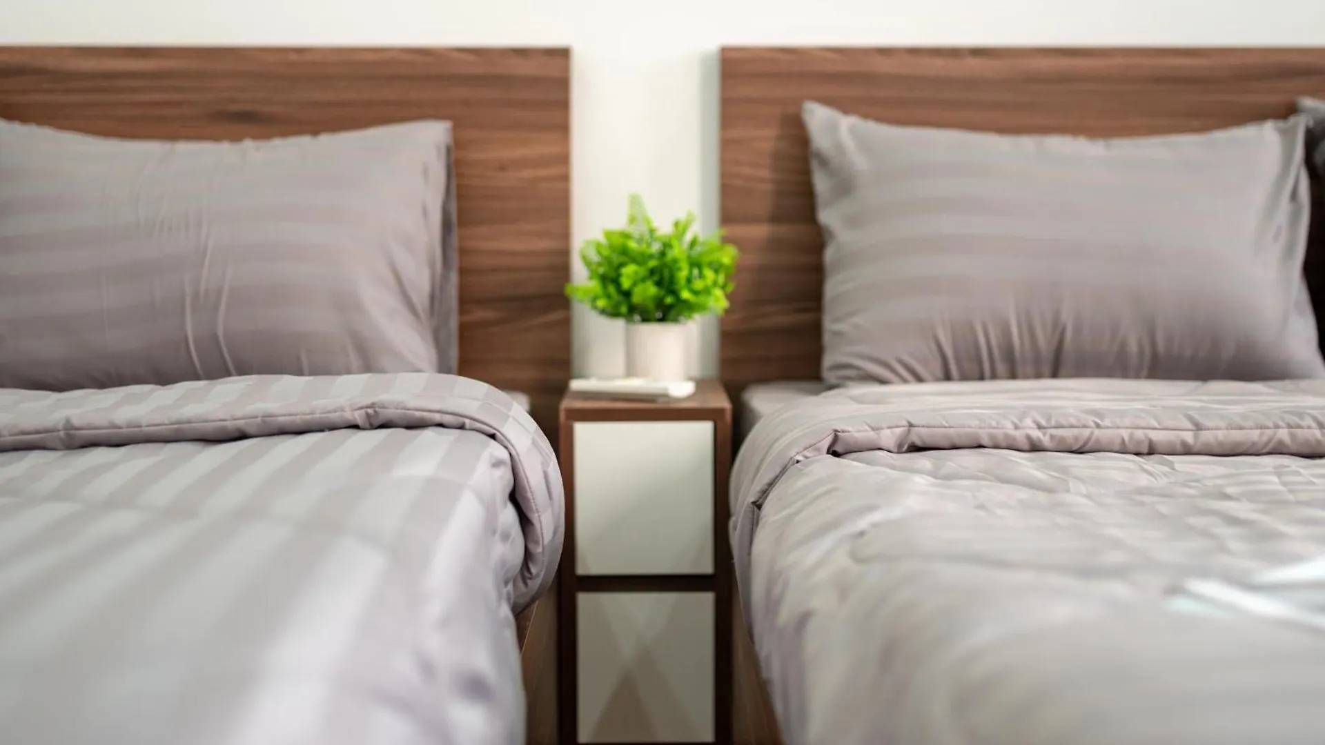 Tan Hoa Homestay Đà Nẵng