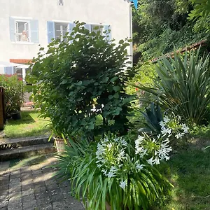 Les Agapanthes , Vaux-en-Beaujolais France